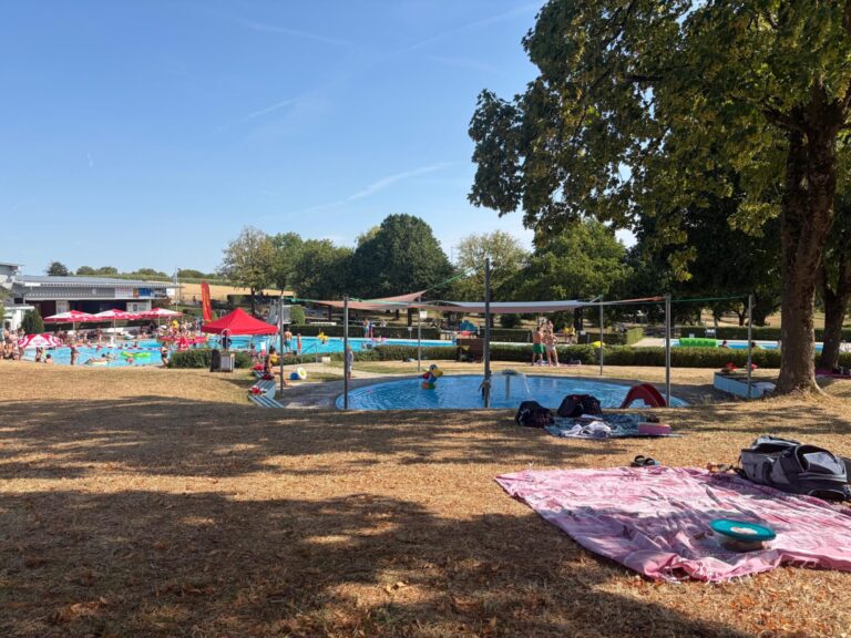 Blick von der Liegewiese auf das Kinderbecken.